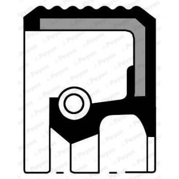 PAYEN Crankshaft seal (NC065)