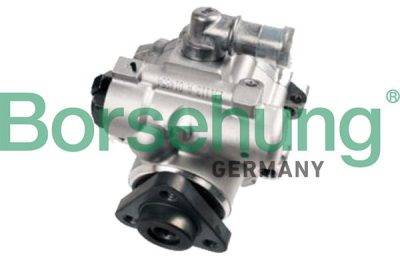 Borsehung Power steering pump (B18225)