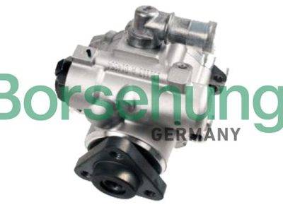 Borsehung Power steering pump (B18225)