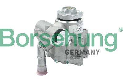 Borsehung Power steering pump (B13212)