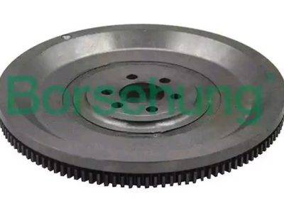 Borsehung Flywheel (B12719)