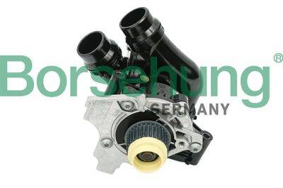 Borsehung Water Pump (B18736)