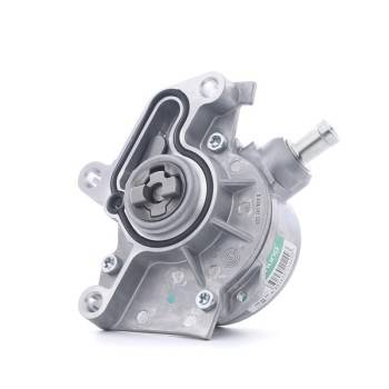 Borsehung Brake vacuum pump (B18801)