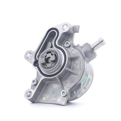 Borsehung Brake vacuum pump (B18801)