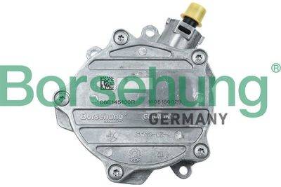Borsehung Brake vacuum pump (B18773)