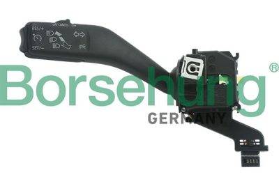 Borsehung indicators switch (B11506)