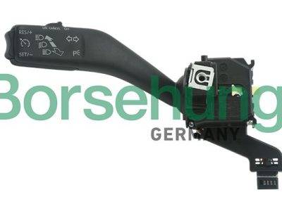 Borsehung indicators switch (B11506)