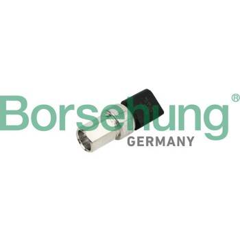 Borsehung Aircon Pressure Sensor (B18534)