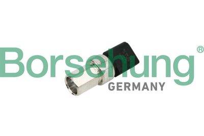 Borsehung Aircon Pressure Sensor (B18534)