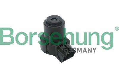 Borsehung Ignition switch (B17994)
