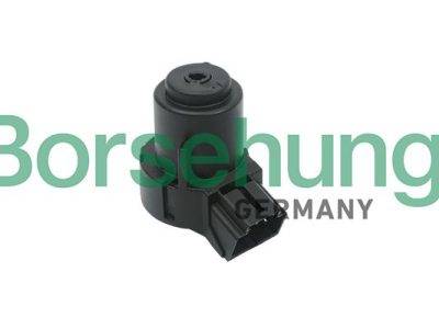 Borsehung Ignition switch (B17994)