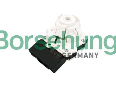 Borsehung Ignition switch (B17988)