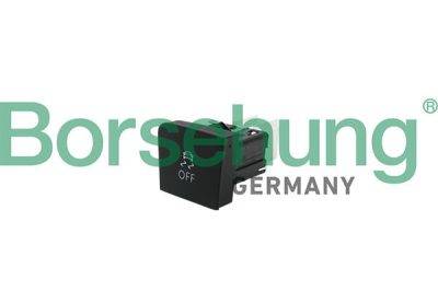 Borsehung ESP Switch (B18895)