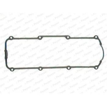 PAYEN Valve Cover Gasket (JP024)