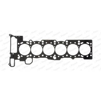 PAYNE Cylinder Head Gasket (AC5900)