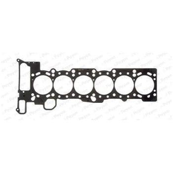 PAYNE CYLINDER HEAD GASKET  (9112007903)