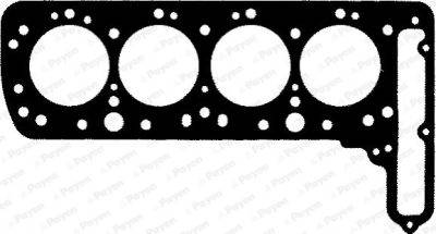 PAYNE Cylinder Head Gasket (BC790)