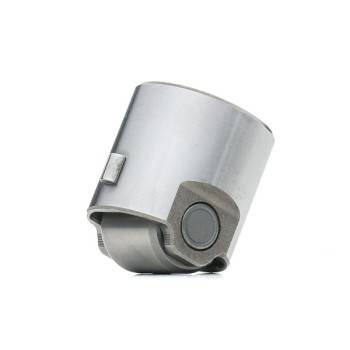 Borsehung HIGH PRESSUER FUEL PUMP CAM FOLLOW (B18195)