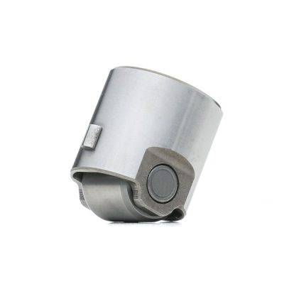 Borsehung HIGH PRESSUER FUEL PUMP CAM FOLLOW (B18195)