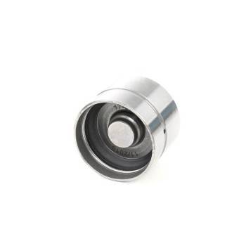 Borsehung Valve Lifter (B16920)