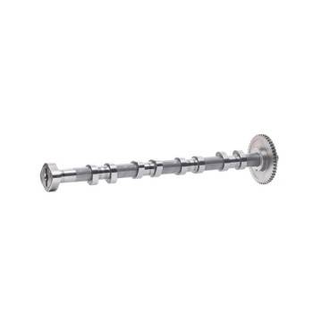 Borsehung Camshaft (B18980)
