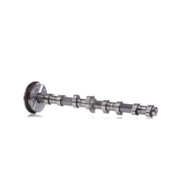Borsehung Camshaft (B18979)