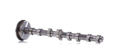 Borsehung Camshaft (B18979)