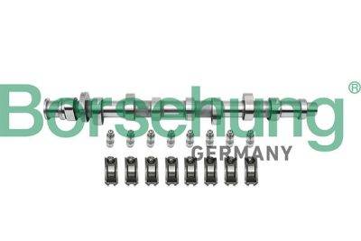 Borsehung Camshaft Repair Kit (B18859)