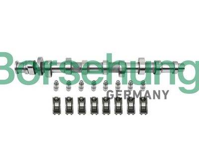 Borsehung Camshaft Repair Kit (B18859)