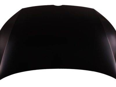 ARMOURTEC Bonnet (VW0381BN01)