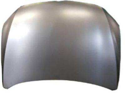 ARMOURTEC Bonnet (VW0142BN01)