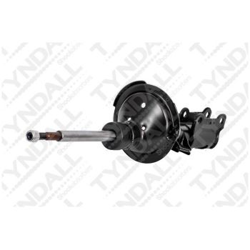 TYNDALL SHOCK FRONT (SHG678392R)
