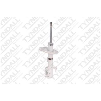 TYNDALL SHOCK FRONT (SHG678064)