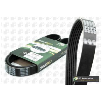 BGA MULTI V-BELT (6PK1173)