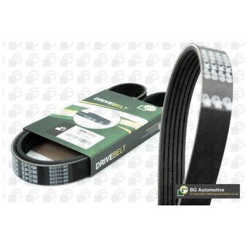 BGA MULTI-V-BELT (6PK1873)