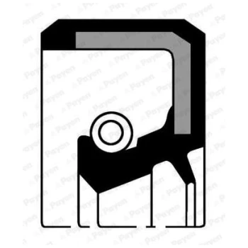 CAMSHAFT SEAL  (9103000324)