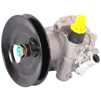POWER STEERING PUMP (9103006010)
