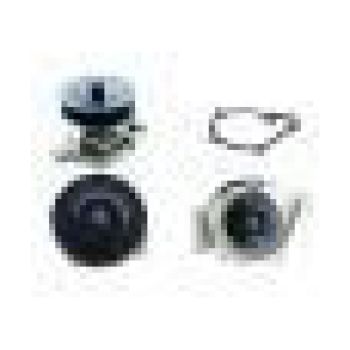 MURL WATER PUMP (W46087)