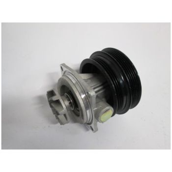 MURL WATER PUMP (W17353)