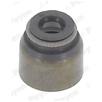 PAYEN Valve Stem Seals (PB681)