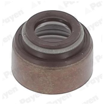 PAYEN Valve Stem Seals (PA136)