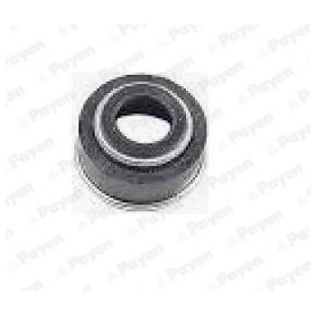 PAYEN Valve Stem Seals (PA531)