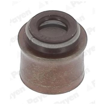 PAYEN Valve Stem Seals (PA883)