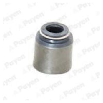 PAYEN Valve Stem Seals (PA418)