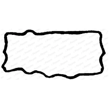 PAYEN HEAD GASKET (9112001655)