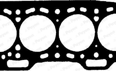 PAYEN Head Gasket (BN200)