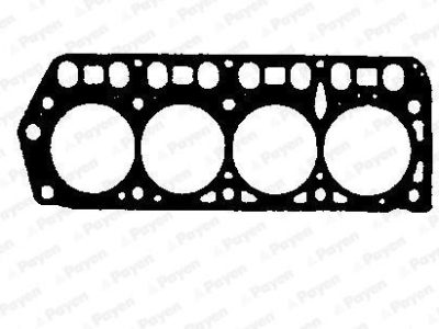 PAYEN Head Gasket (BP650)