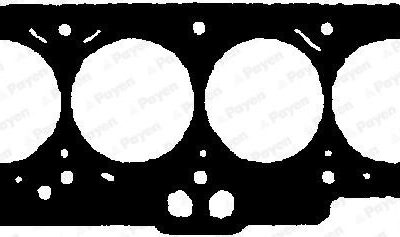 PAYEN Head Gasket (BV370)