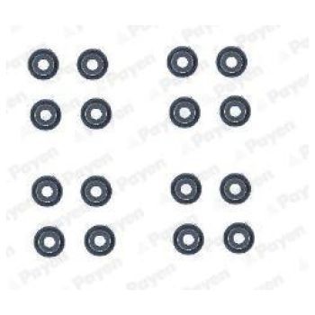PAYEN VALVE STEM SEAL (HR5139)