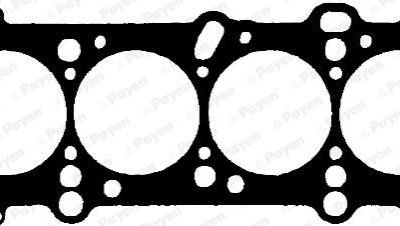 PAYEN Head Gasket (BS950)